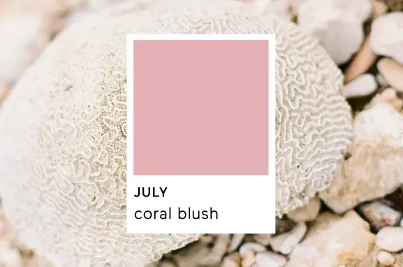 每个月份专属的印刷色07